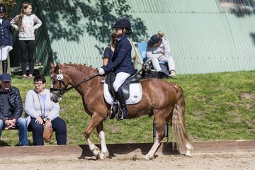 Bild 577 - Pony Akademie Turnier